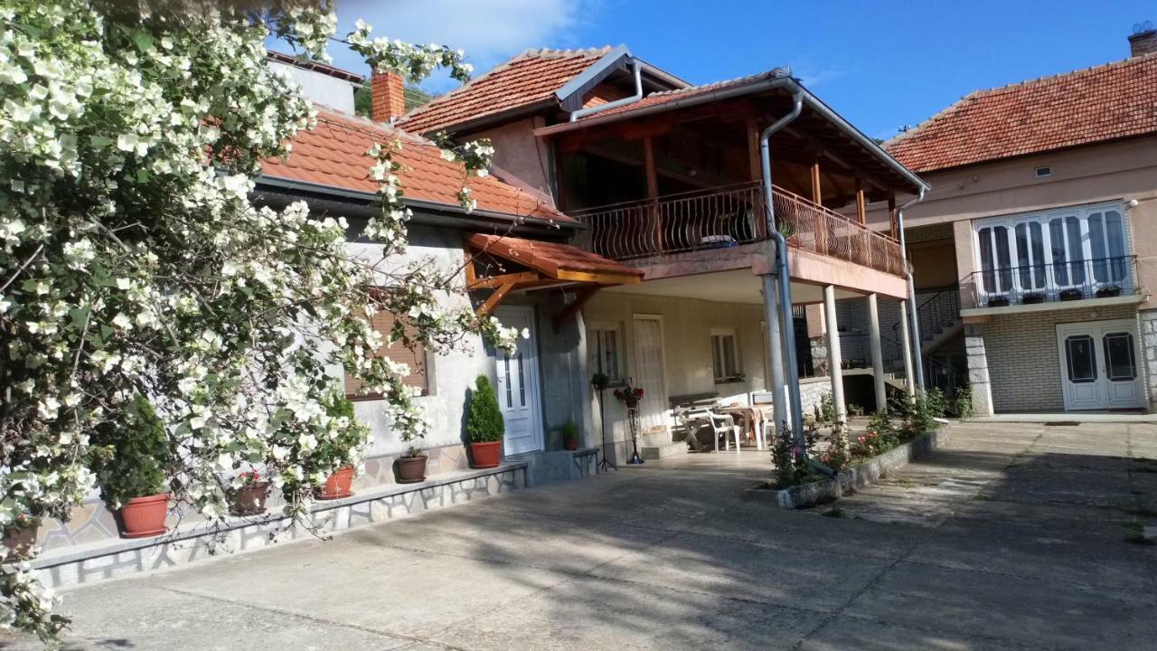 Guest House Green View Πίροτ Εξωτερικό φωτογραφία